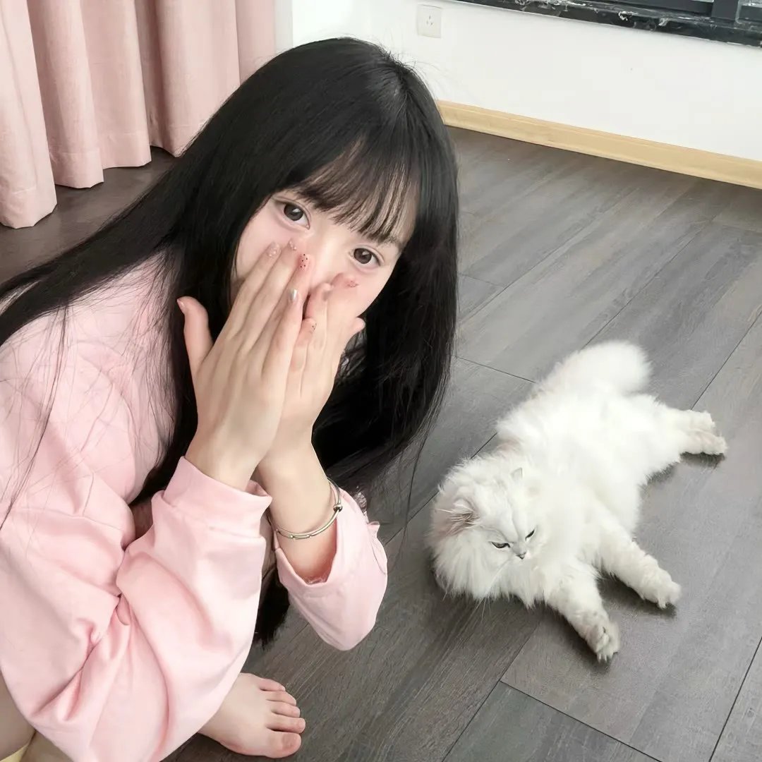 开播！情景喜剧第二季